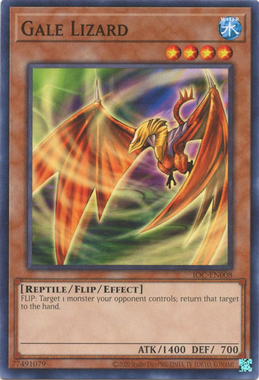 Gale Lizard | IOC-EN008